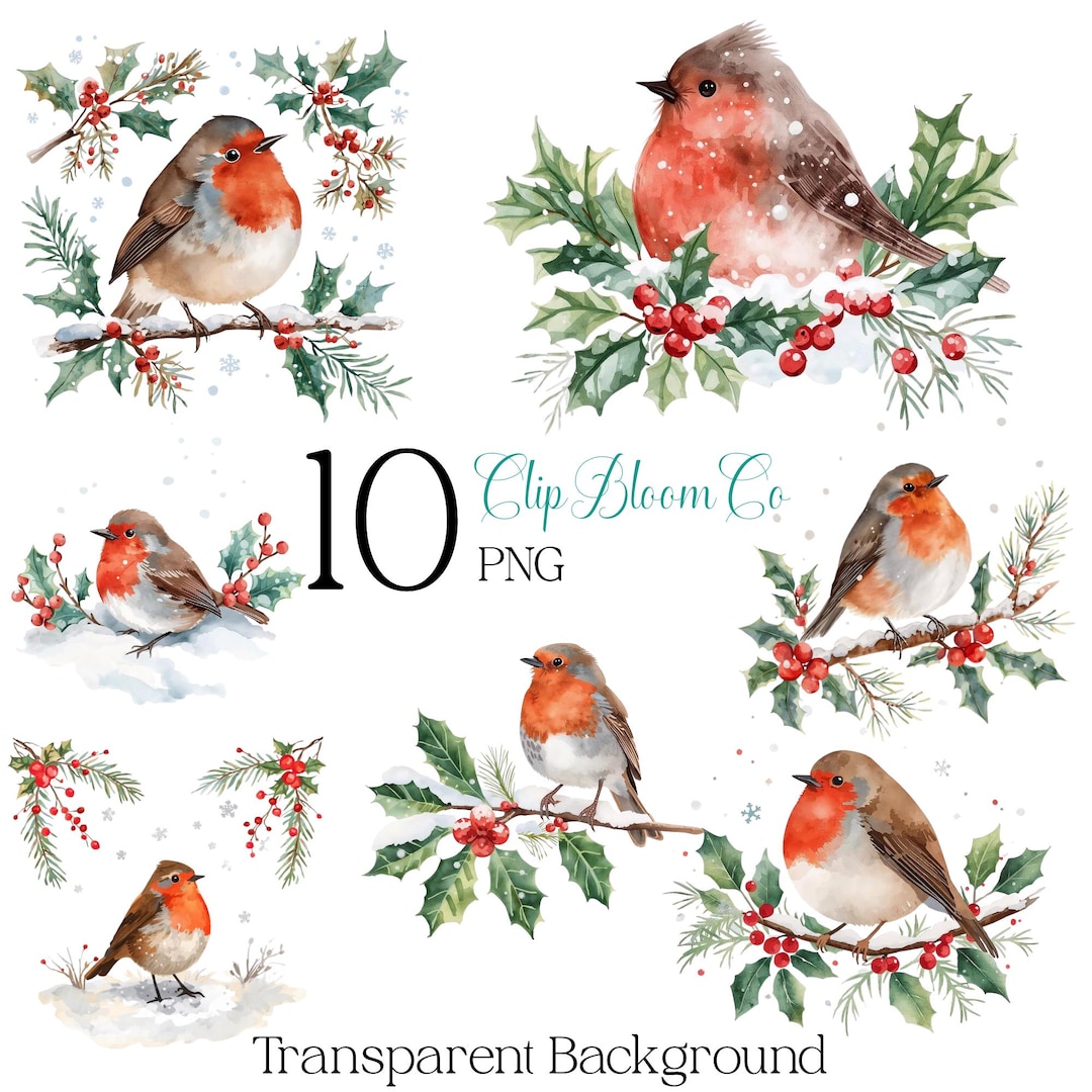 Robin Christmas PNG Bundle – 10 Winter Bird Clipart Images – Watercolor ...