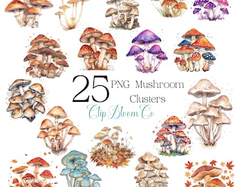 Watercolor Mushroom Clipart – 25 PNG Forest Illustrations (Digital Download)