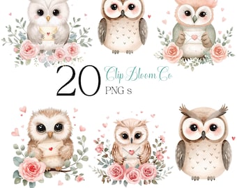 Valentine Owl Clipart Bundle with Love Letters Roses Hearts Watercolor PNG