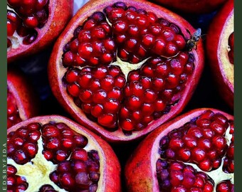 25 Semillas de Granado: ¡Cultiva tu propio árbol frutal tropical! Arbusto dulce, rico en antioxidantes y resistente a la sequía.