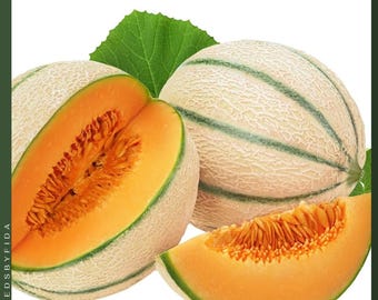 Más de 50 semillas de melón Charentais francés, una variedad rara: ¡el melón cantalupo más dulce del mundo, de variedad tradicional y sin OMG!