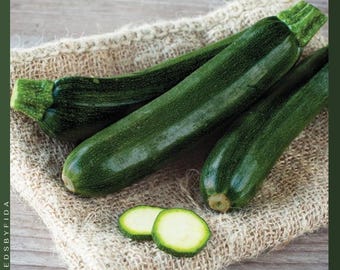 May include: Four dark green zucchini, with one sliced to show the white flesh, rest on a burlap cloth. The zucchini have a smooth, glossy skin and are arranged on a wooden surface. The image is well-lit, highlighting the fresh produce.
