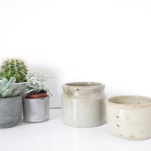 May include: Three small ceramic pots with succulents. The pots are in various shades of gray and white. The succulents are green and gray.