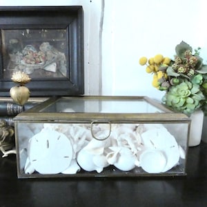 French Brass and Glass and wood display library case curio case extra large