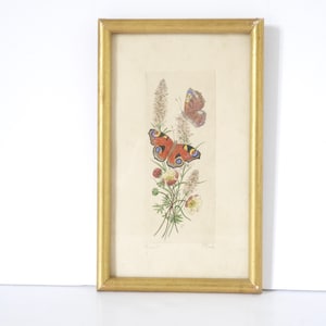 French vintage hand drawn botanical and butterfly print Entomology print watercolor