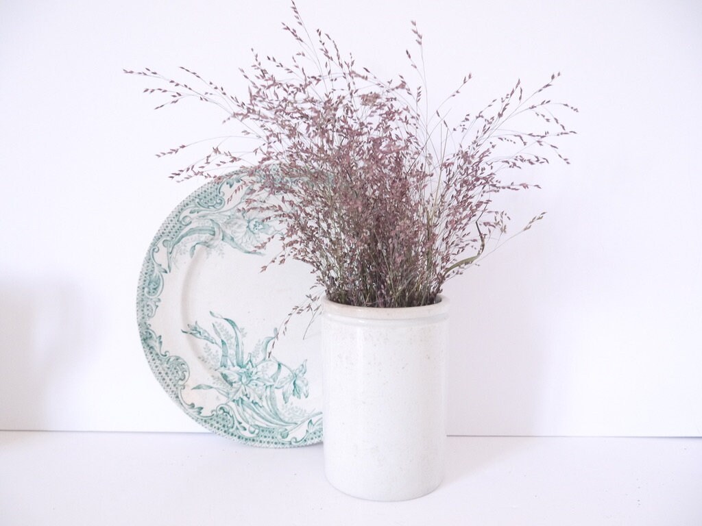 Français Pot en Pierre de Fer Vintage Blanc Transferware