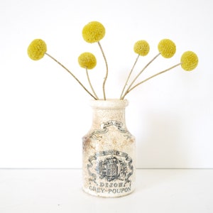 Antique French GREY POUPON White Ironstone Dijon Sarreguemines Mustard Pot Dijon Mustard Jar, Grey Poupon Stoneware Pot