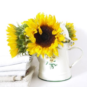 May include: A white enamel pitcher with a green rim and floral design, filled with a bouquet of bright yellow sunflowers.
