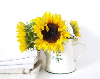 Cafetera francesa vintage esmaltada en color marfil con girasoles