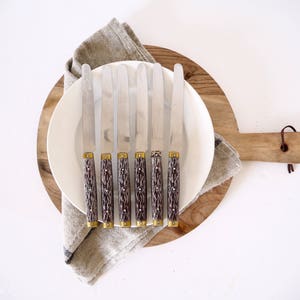 Französisch Vintage Bakelit Holz-wie behandelt Abendessen Messer Set von acht