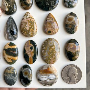May include: A collection of polished, multi-colored ocean jasper cabochons in various shapes, including teardrops and ovals, arranged on a white surface next to a United States quarter coin for scale, displaying intricate circular and organic patterns.