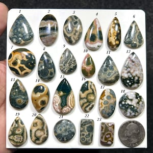 May include: A collection of twenty-three polished ocean jasper cabochons in various shapes and sizes, arranged on a white display board with numbered labels from 1 to 23, alongside a standard United States quarter coin for scale reference.