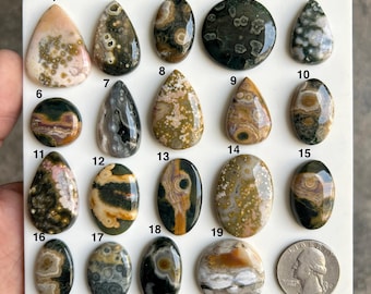 May include: A collection of nineteen polished ocean jasper cabochons arranged on a white display board, numbered one through nineteen, featuring various circular patterns and earthy tones, alongside a United States quarter for scale.