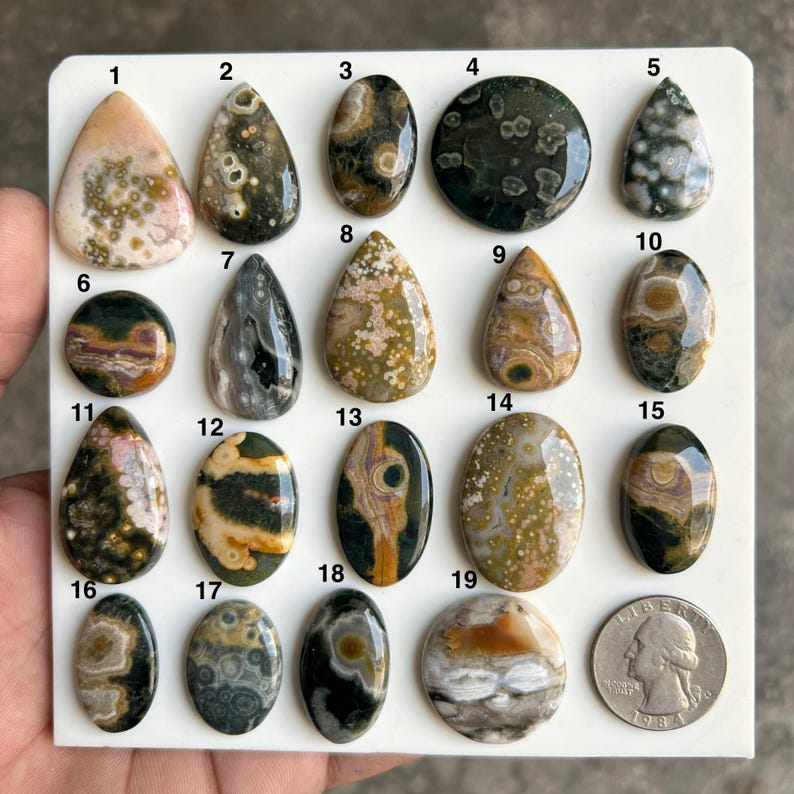 May include: A collection of nineteen polished ocean jasper cabochons arranged on a white display board, numbered one through nineteen, featuring various circular patterns and earthy tones, alongside a United States quarter for scale.