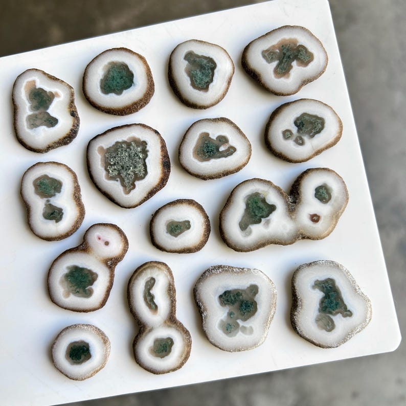 May include: A collection of sliced agate stones, each with a unique pattern. The stones feature a white outer ring, a brown band, and a central area of green and gray crystal formations. The arrangement is on a white surface.