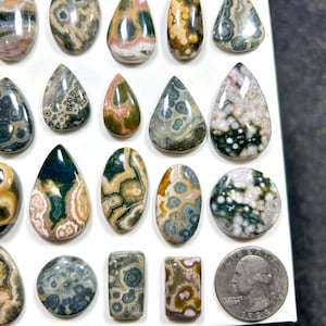 May include: A collection of polished ocean jasper cabochons in various shapes including teardrop, oval, and rectangular forms, featuring intricate orbicular patterns in shades of green, pink, brown, and white, displayed next to a US quarter coin.