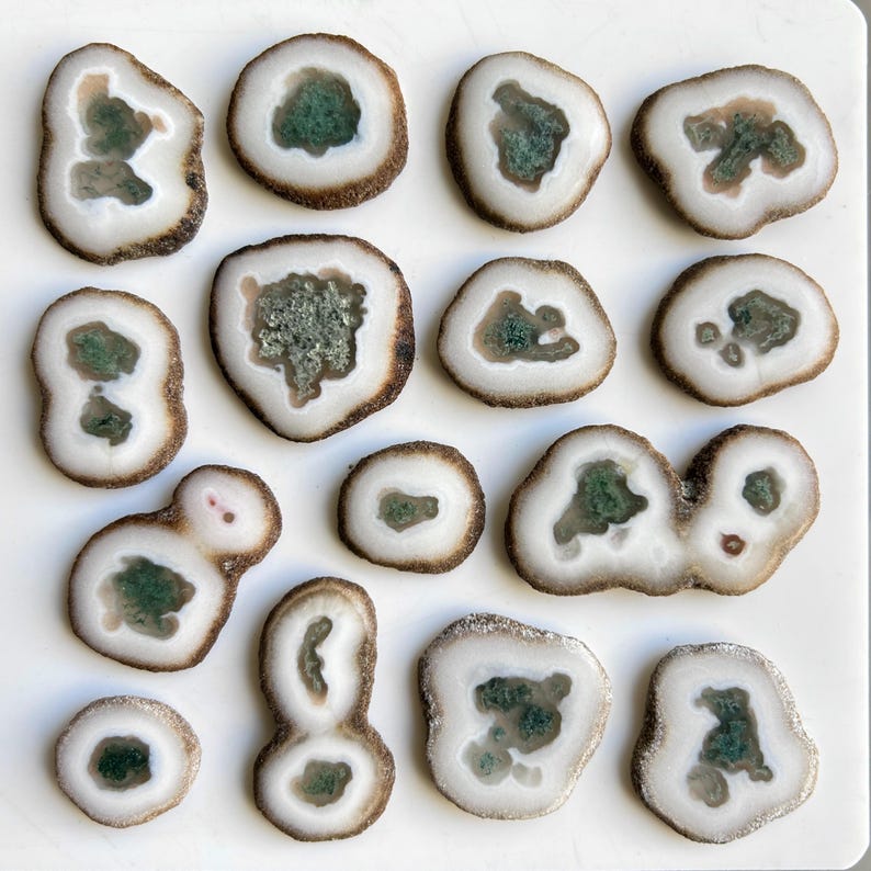 May include: A collection of sliced agate stones, each showcasing a unique pattern. The stones have a white outer ring, a brown band, and a central area of green and gray mineral deposits. The shapes vary, with some circular and others more irregular.