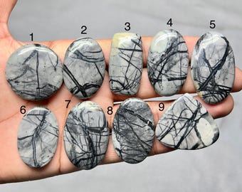 Puede incluir: Nueve piedras preciosas pulidas de varias formas, incluyendo ovaladas, redondas y rectangulares. Las piedras son principalmente grises con intrincados patrones de vetas negras. Las piedras preciosas se sostienen en una mano.