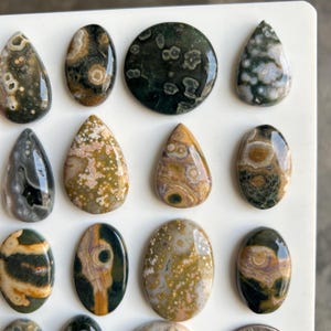 May include: A collection of polished ocean jasper cabochons in various shapes including teardrops, ovals, and a circle. The stones feature intricate orbicular patterns with colors ranging from deep forest green and brown to cream, tan, and soft pink hues.