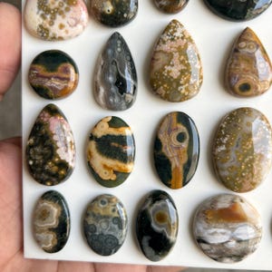 May include: A collection of polished, multi-colored cabochons in various shapes including teardrops, ovals, and circles. These stones feature intricate patterns, swirls, and spots in shades of brown, green, black, white, and pink with a glossy finish.