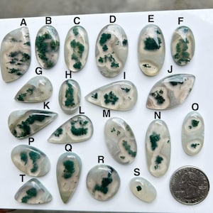 May include: A collection of twenty polished moss agate gemstones in various shapes, including oval, teardrop, and irregular forms. The stones feature translucent white and gray bases with vibrant green moss-like inclusions. A quarter coin is included for size reference.