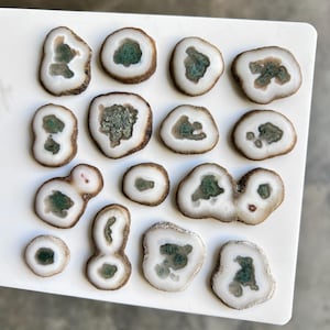 May include: A collection of polished, sliced geodes arranged on a white surface. Each geode slice features a white outer ring, a brown band, and a central cavity filled with green and gray crystalline formations. The shapes vary, offering a diverse display.