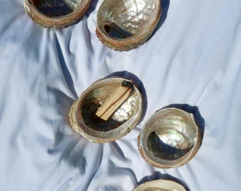 Hand-Picked Abalone Shell, Smudging Bowl & Keepsake Dish (2.5-3.5 inch)