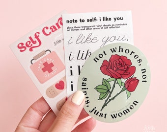 Paquete de pegatinas feministas: vinilo ilustrado, regalo feminista, resistente a la intemperie, impermeable, para parachoques, botella de agua, coche, portátil.