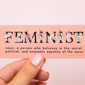 Feminist Vinyl Sticker Definition- "A person who believes in the equality of the sexes" Pink Waterproof Sticker Waterbottle Laptop Car Decal