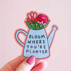Bloom Vinyl Sticker Bloom Where You're Planted Motivational Sticker Inspirational Self Affirming Laptop Sticker Floral Feminist Gift 1 Sticker