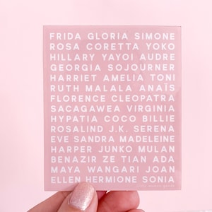 Feminist Heroes Sticker- Waterproof Vinyl Sticker Pink Graphic Text Women Who Changed History Inspirational Motivational Decal