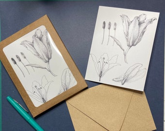 Stargazer Lily Botanical Study Blank Set of Notecards, box set of 6