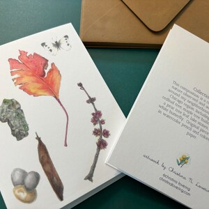 Collections 1 : morceaux de nature, jeu de cartes de correspondance vierges, boîte de 6