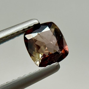 May include: A faceted, cushion-cut gemstone held by silver tweezers. The gem displays a blend of colors, including brown, gold, and hints of red. The stone's facets reflect light, creating a sparkling effect. The background is a soft, neutral gray.