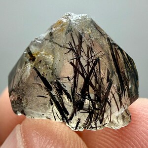 Könnte beinhalten: Ein klarer Quarzkristall mit schwarzen Turmalineinschlüssen. Der Kristall wird zwischen den Fingern gehalten und hat eine raue, natürliche Form. Die schwarzen Turmalinnadeln sind im gesamten Quarz sichtbar.