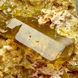 Könnte beinhalten: Nahaufnahme einer Mineralprobe mit einem großen, durchscheinenden, bernsteinfarbenen Kristall mit rechteckiger Form. Der Kristall befindet sich vor einem Hintergrund aus kleineren, gelbgrünen Kristallen und einer rauen, beigefarbenen Matrix.