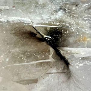 Könnte beinhalten: Nahaufnahme eines klaren Quarz-Kristalls mit dunklen, federartigen Einschlüssen. Der Kristall hat ein geschichtetes Aussehen mit scharfen, kantigen Facetten. Die Einschlüsse sind dunkelbraun und schwarz.