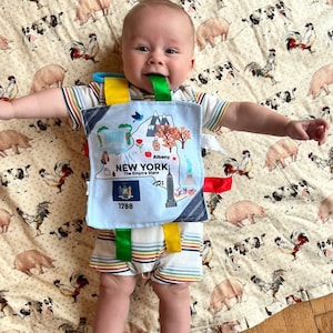 New York State Pride Crinkle Tag Toy Square Stroller Gift for Baby - Teaches State Facts