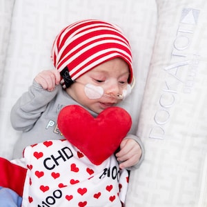 Heart Warrior CHD Awareness Tag Blanket Comfort Toy by Baby Jack