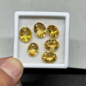 Könnte beinhalten: Sechs ovale, goldgelbe Edelsteine werden in einem weißen, quadratischen Behälter präsentiert. Die Edelsteine haben eine polierte, facettierte Oberfläche, die das Licht reflektiert. Die Anordnung zeigt die Farbe und Klarheit der Edelsteine, geeignet für Schmuckherstellung oder Sammlungen.