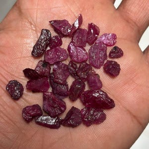 Puede incluir: Una colección de piedras preciosas de rubí en bruto, sin cortar, de varios tamaños y formas. Los rubíes muestran un tono rojo intenso y rico con una superficie ligeramente rugosa y texturizada. Las piedras preciosas se sostienen en una mano.