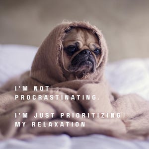 May include: A pug dog wrapped in a beige blanket, with the text "I'M NOT PROCRASTINATING. I'M JUST PRIORITIZING MY RELAXATION." The dog has a concerned expression, conveying a sense of humor and relaxation.