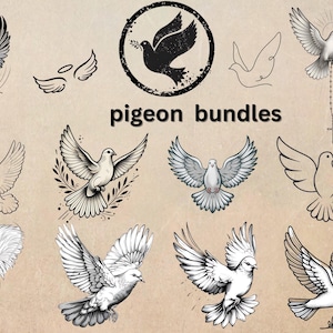 Pigeon vector clipart bundle digital download images for cricut, silhouette,  png, jpg