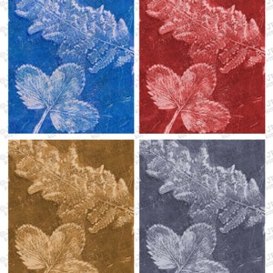 16 impressions originales sur gel botaniques inspirées de la cyanotype - couleurs naturelles **Téléchargement numérique**