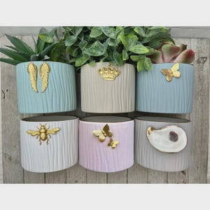 Puede incluir: Seis macetas de cerámica decorativas en varios colores pastel, cada una con un diseño texturizado de líneas verticales. Adornos dorados, como alas, una corona, mariposas, una abeja y una concha de ostra, adornan las macetas. Las macetas están llenas de vegetación.