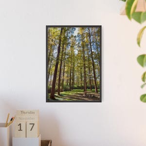 Framed Nature Landscape Canvas Print: Modern Wall Art Decor