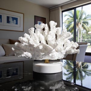 Può includere: Una scultura di corallo bianco con superficie strutturata, montata su una base bianca e dorata. Il corallo è esposto su un tavolo nero, con una finestra e palme sullo sfondo. Arredamento per la casa.