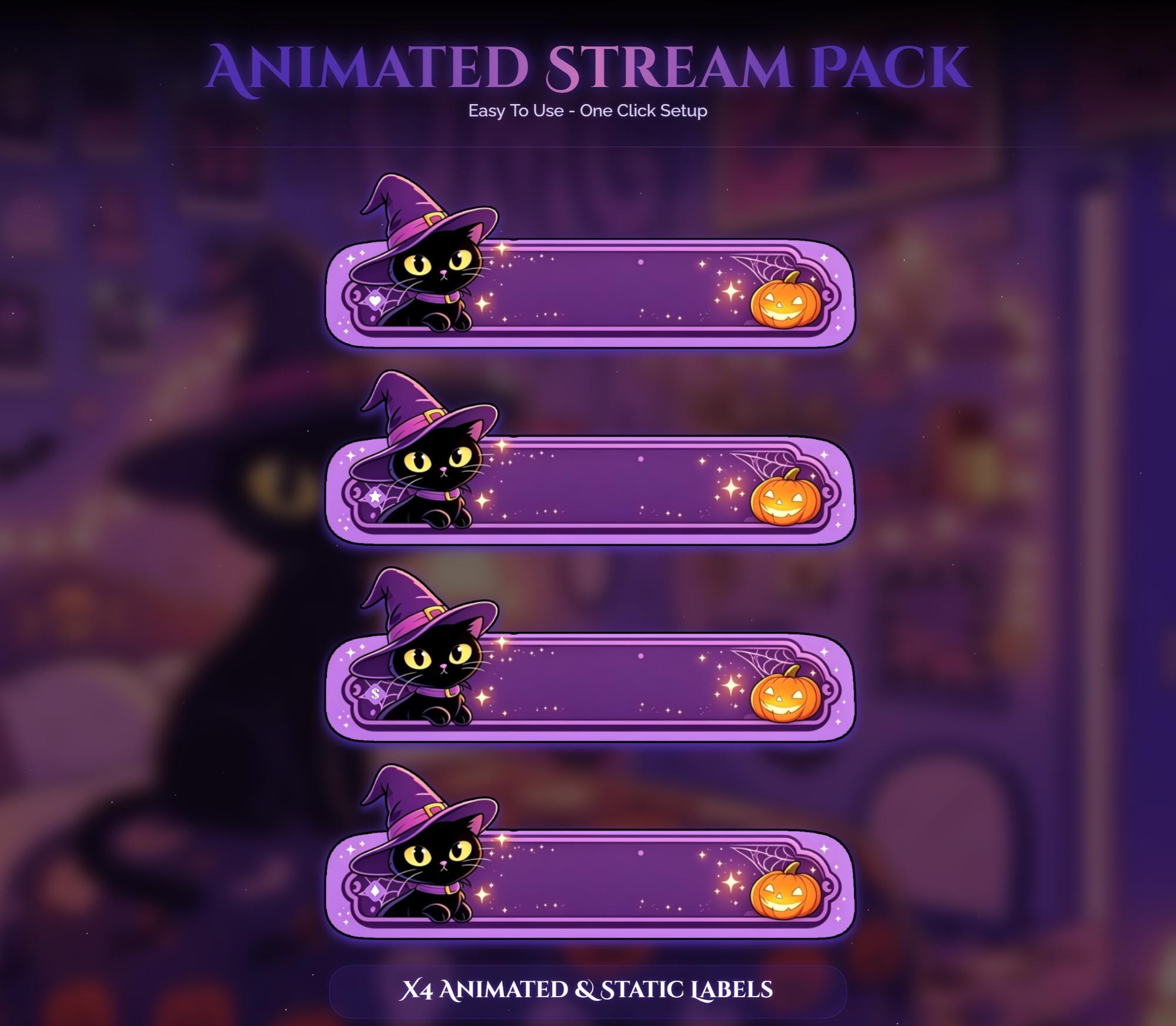 Spooky Witch Cat Animated Overlay — preview photo 7