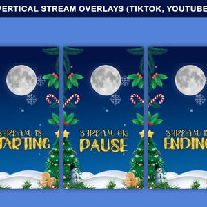 Paquete de superposiciones animadas navideñas para TikTok (descarga digital)