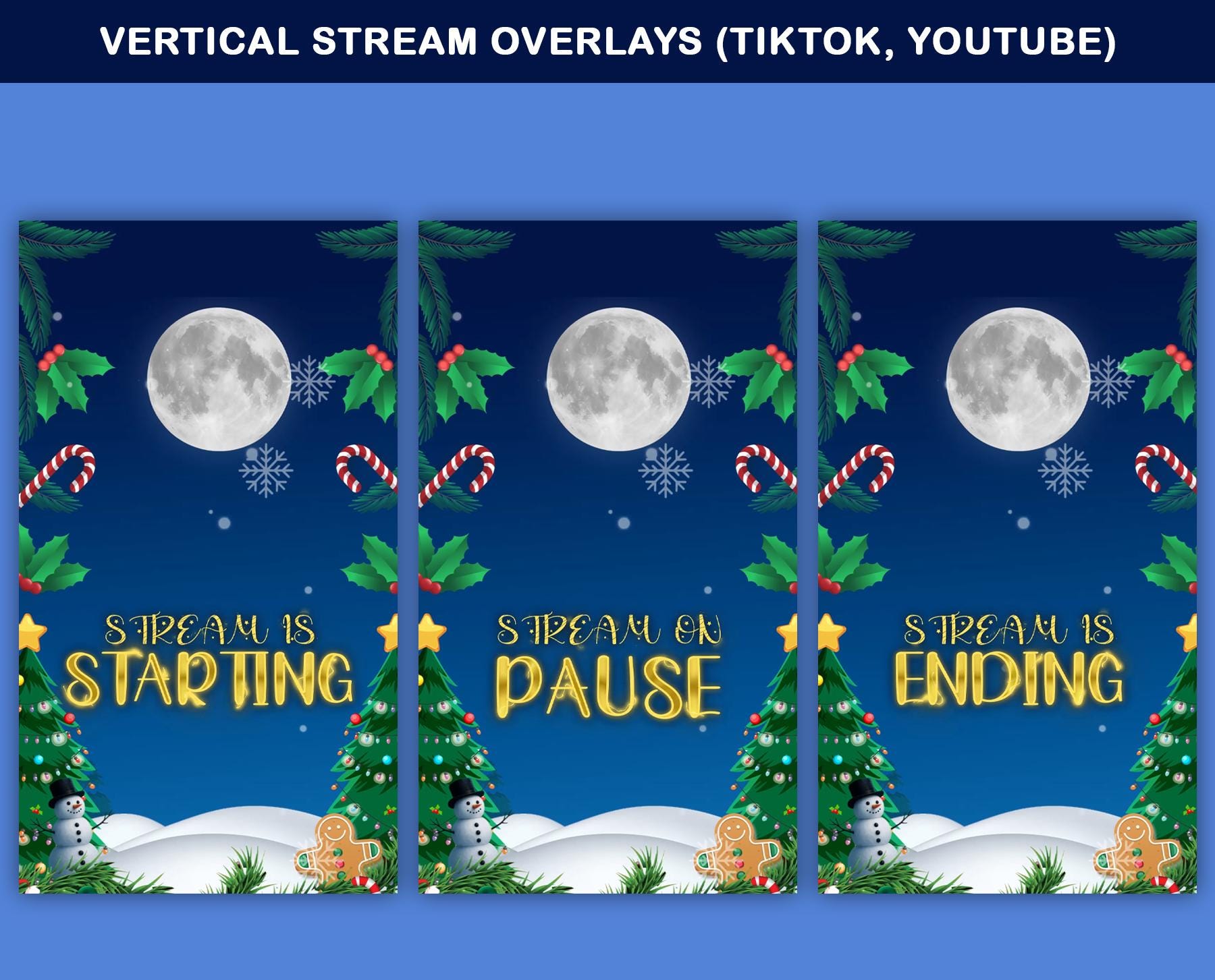 Christmas Animated TikTok Stream Overlay Package (Digital Download)